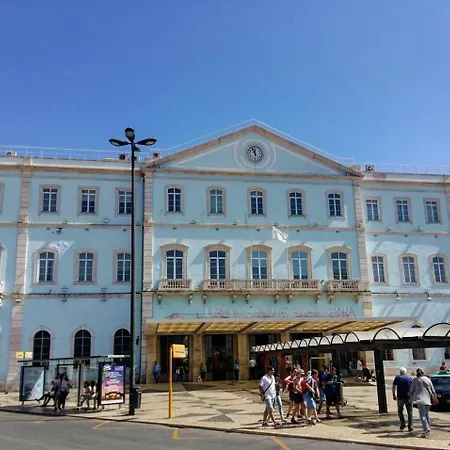 Basilio Next To Ladra Flea Market * 리스본